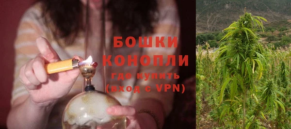 не бодяженный Богданович