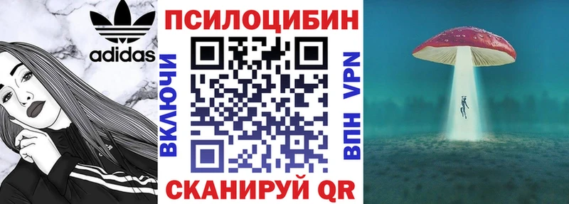 Псилоцибиновые грибы мицелий Белорецк