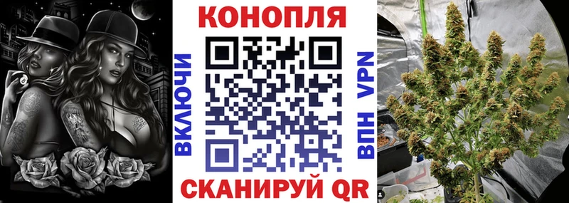 Шишки марихуана планчик Белорецк